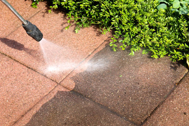 Best Sidewalk Pressure Washing  in Summerville, SC